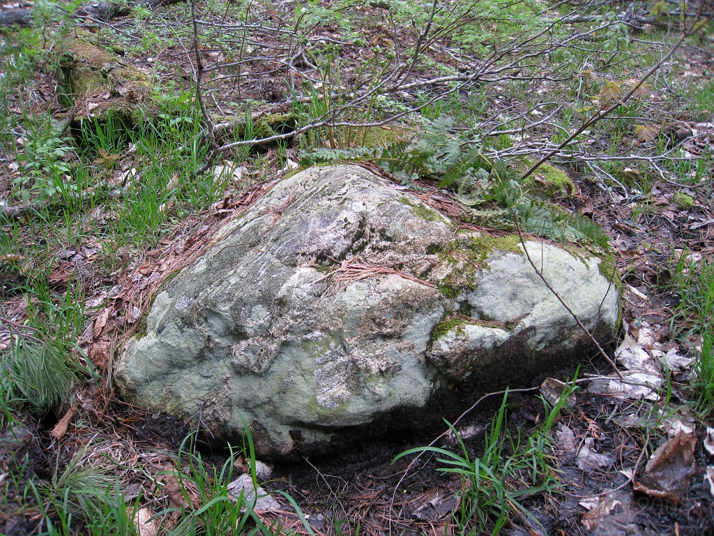 Mackinaw Island Area May 2008 1135.jpg - May 24 2008 a trip to Mackinac City for a 5 M race and a visit to Mackinac Island. A day to the UP, Paradise, Whitefish Point and Tahquamen Falls. This was followed by trips to Petoskey and Charlevoix.